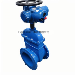 电动闸阀Z945X-10 DN50暗杆软密封