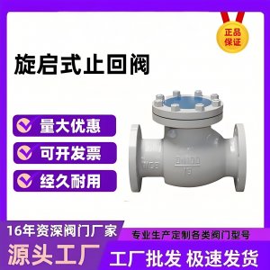 止回阀H44H-16C DN200法兰旋启式阀瓣