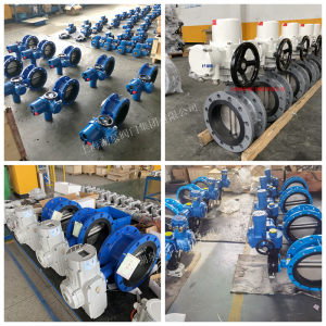 DN80法兰连接方式220V|D941X-16电动蝶阀